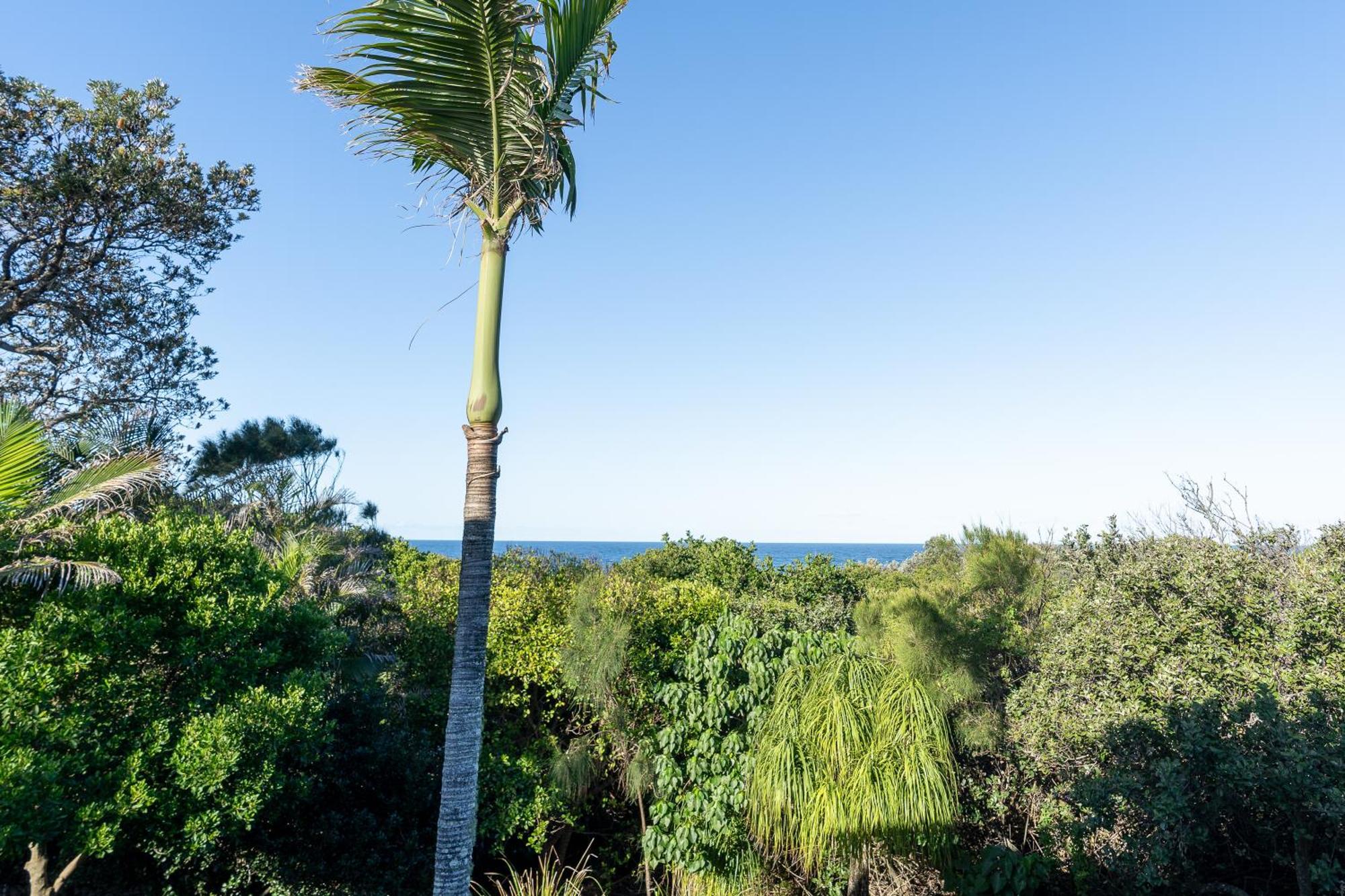 Glen Eden Beach Resort Peregian Beach Eksteriør bilde